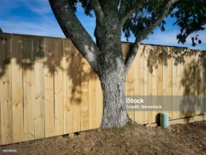 DIY litigant opens up Supreme Court on Sunday for a fence dispute
